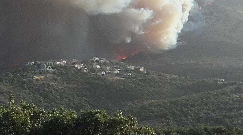 Φωτιά στη Μάνη: Κάηκαν 15 σπίτια – Μεγάλο πλήγμα στην παραγωγή λαδιού